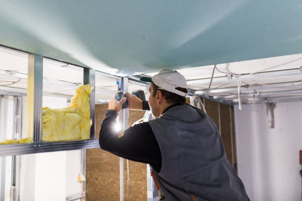 Best Reflective Insulation  in Bull Valley, IL